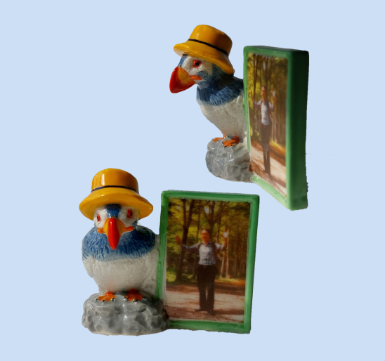 KHUNG HÌNH CHIM NGỘ NGHĨNH